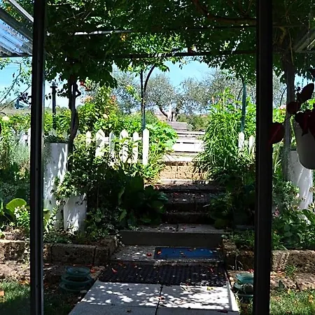 Alojamento de Acomodação e Pequeno-almoço La Casa Di Mimma 3*