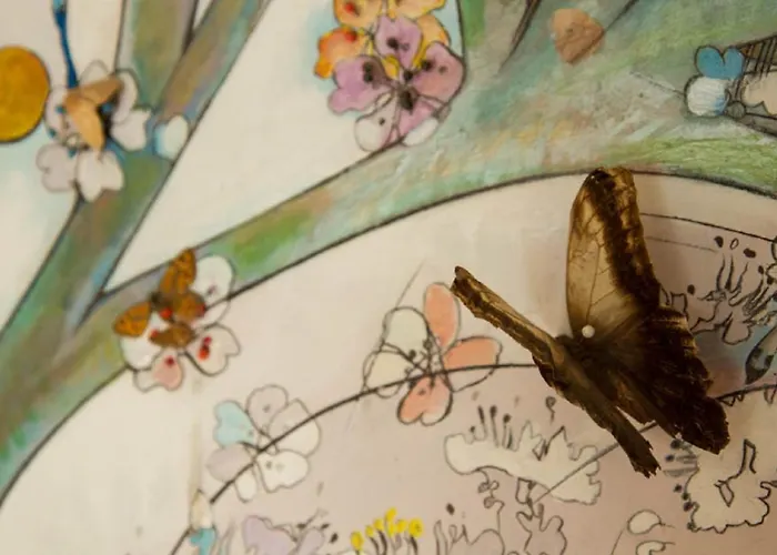 La Casa Di Mimma 住宿加早餐酒店 3*